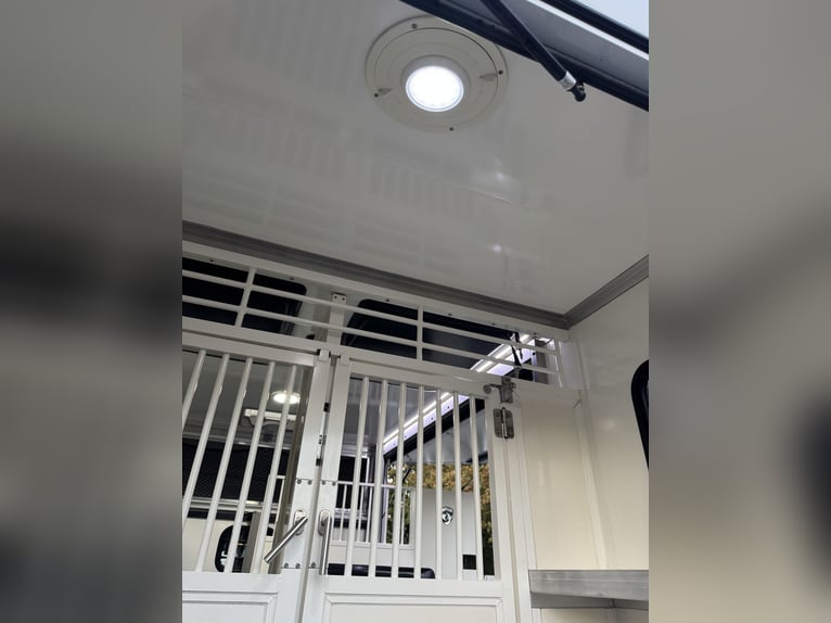 Camion pour chevaux Paragan sur Renault Master 3 XL