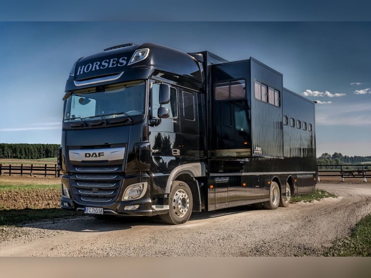 DAF XF 480, année 2021 + nouveau modèle en 2026, PREMIUM, enregistré pour 4 personnes