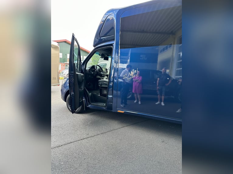 JL Mercedes-Benz Sprinter Transporteur pour chevaux, carrosserie en coffre, première mise en circula