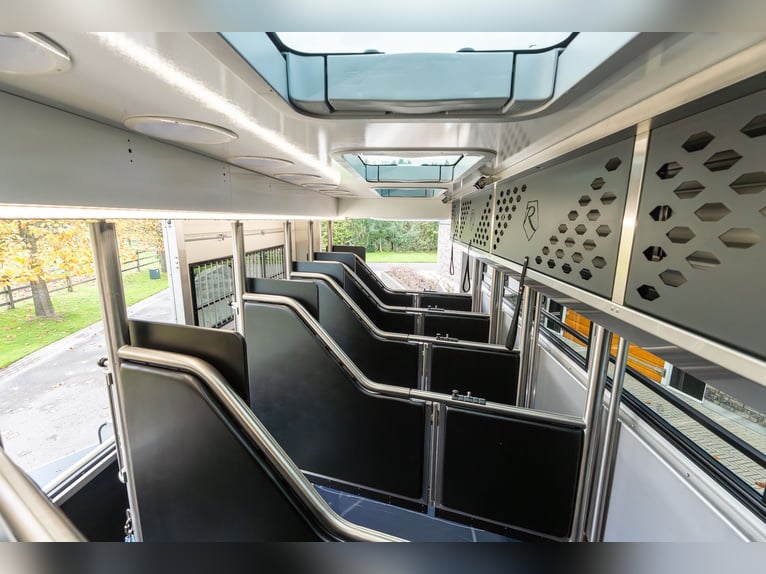 Roelofsen RR6 XL Profiliner Transporteur de chevaux, camion pour 5 chevaux avec porte pop-out, Horse