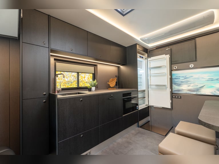 Roelofsen RR6 XL Profiliner Transporteur de chevaux, camion pour 5 chevaux avec porte pop-out, Horse