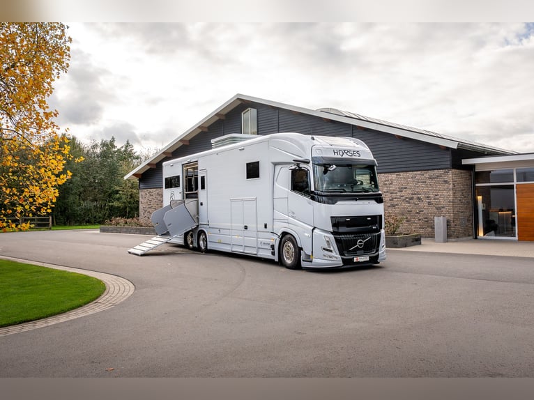 Roelofsen RR6 XL Profiliner Transporteur de chevaux, camion pour 5 chevaux avec porte pop-out, Horse