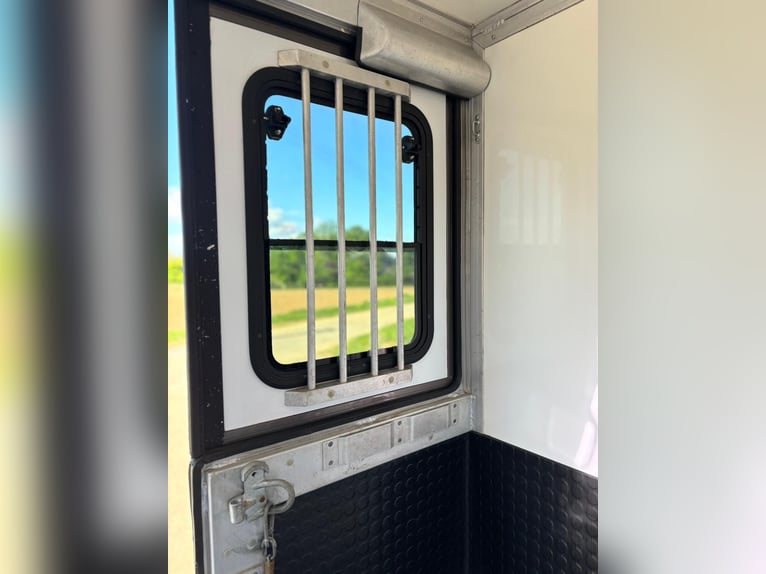 Transporteur pour chevaux Iveco Daily | Camion pour chevaux | Sans péage | Nouveau contrôle techniqu