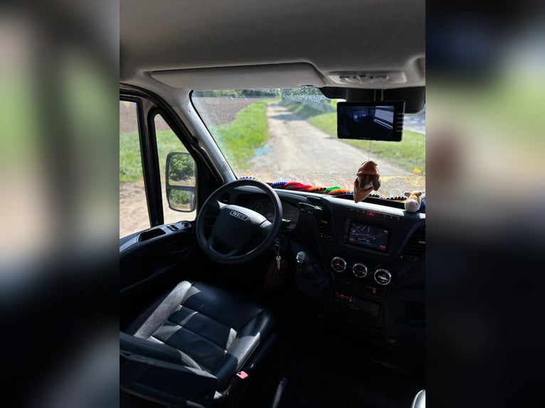 Transporteur pour chevaux Iveco Daily | Camion pour chevaux | Sans péage | Nouveau contrôle techniqu