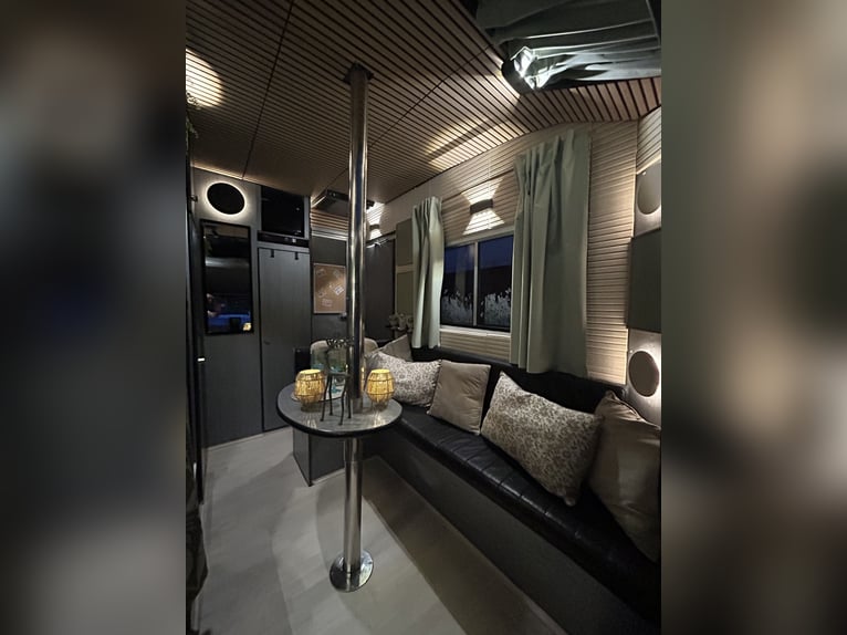 Véhicule de collection, passion pour les chevaux, caravane ou camping-car
