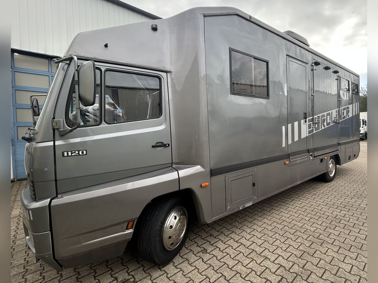Véhicule de collection, passion pour les chevaux, caravane ou camping-car