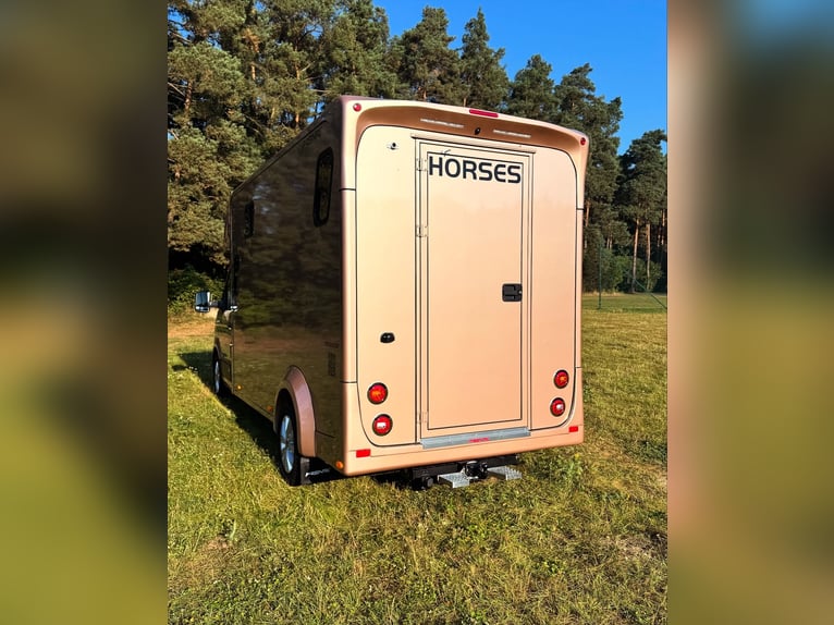 MAN TGE/PRENTKI 2025