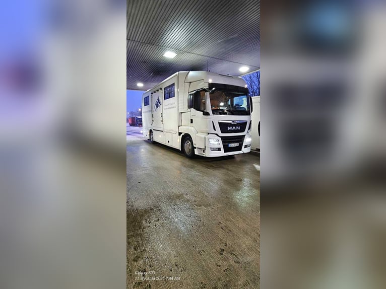 MAN  TGS 18.330   7 HORSES 