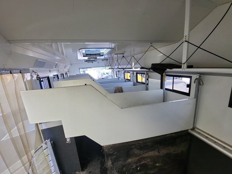 Mercedes-Benz Actros 2551 Horse Truck + Living (2017) —  5–6 horses — 23.236 km — Euro 6 Mercedes-Benz Actros 2551 Horse Truck + Living (2017) —  5–6 horses — 23.236 km — Euro 6