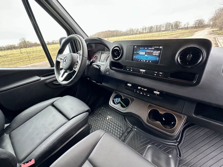 Mercedes-Benz Sprinter, transporteur pour deux chevaux, boîte automatique, équipé pour étalon, camio