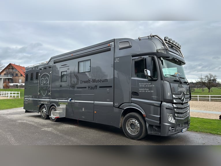 Pferdetransporter JL HighlineXXL DB2551 Actros Wohnmobilzulassung