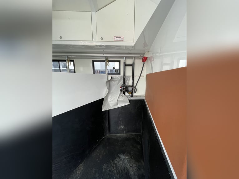 Pferdetransporter JL HighlineXXL DB2551 Actros Wohnmobilzulassung