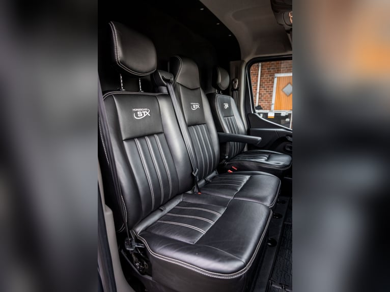 Pferdetransporter LKW Sprinter Renault Master STX 3 Haras