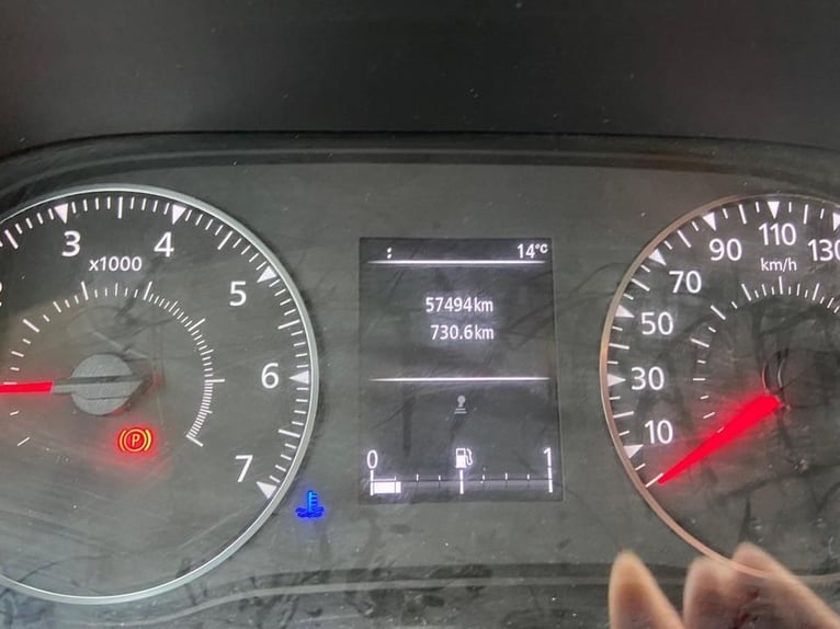 Pferdetransporter Renault Master