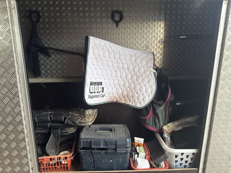 Camion à chevaux Mercedes 814, capacité pour 4 chevaux et 7 personnes.