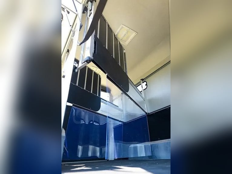 Remorque Cheval Liberté Maxi 3 – avec sellerie et rampe latérale