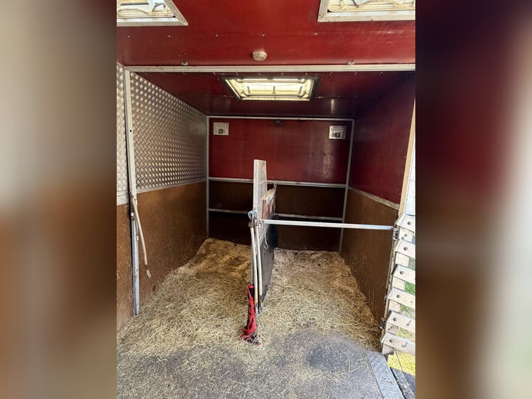 Mercedes-Benz 814 camion de transport de chevaux