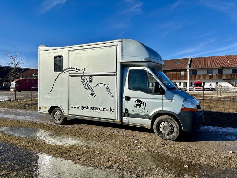 Renault Master Böckmann Compact TL Transporteur pour 2 chevaux Compacte, boîte automatique, camion,