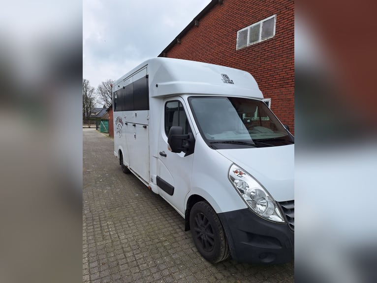 Renault Master Theault paardenwagen hengsten uitvoering