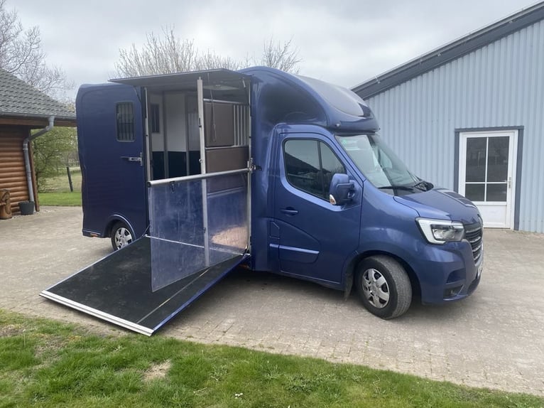 Renault Master Zwei-Pferdetransporter