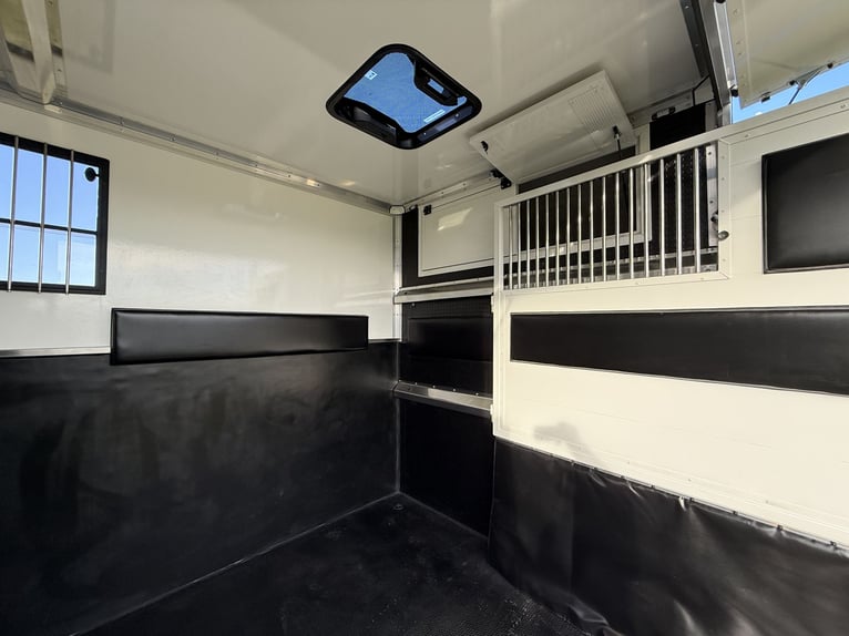 Renault Pferde-Sprinter – 2-Pferde