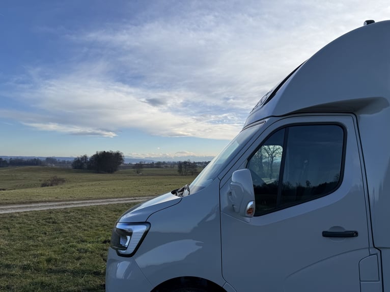 Renault Pferde-Sprinter – 2-Pferde