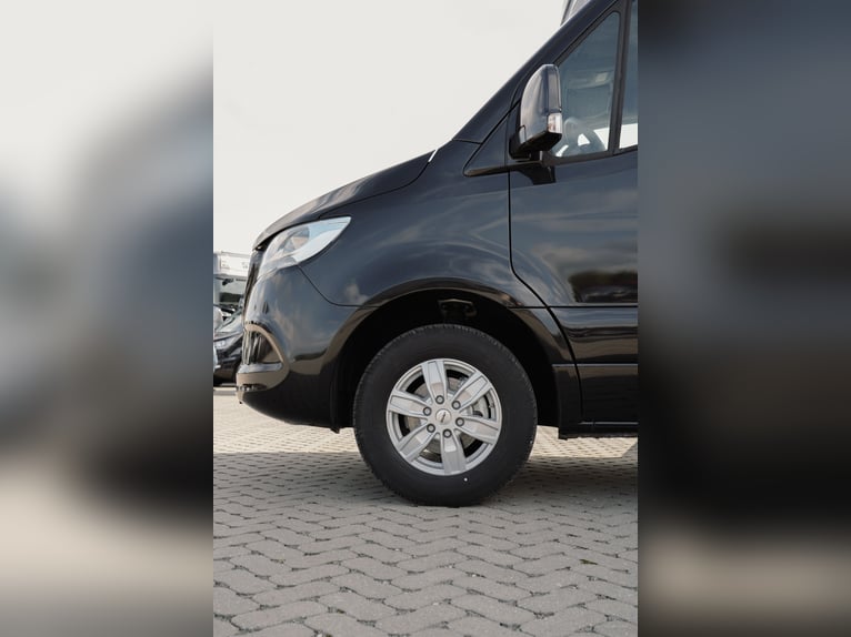 STX 2 Horse – Exclusive Mercedes Sprinter