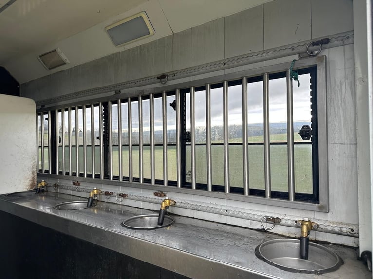 STX LKW Pferdewohnmobil Ivevo Stralis