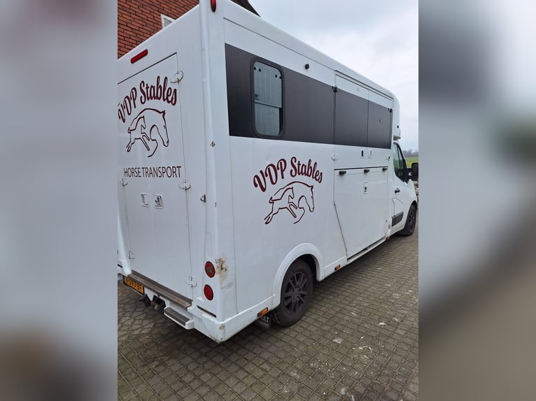 Theault Proteo Hengstenuitvoering Renault Master 2014  