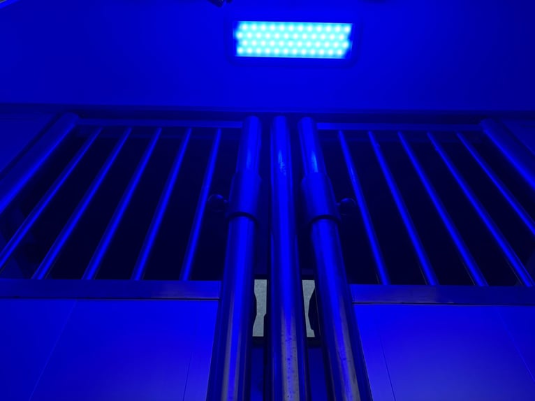 Transporteur de chevaux d'occasion en parfait état