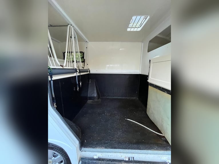 Transporteur de chevaux Renault Ameline