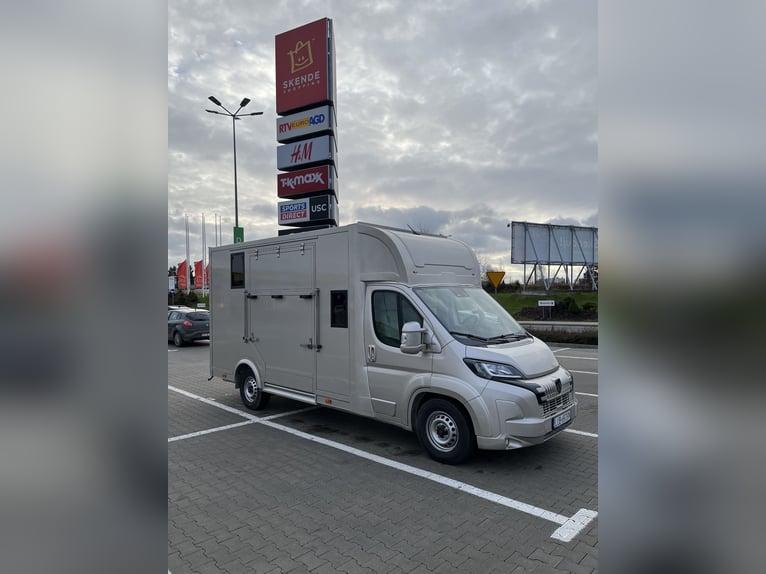 Voiturette Peugeot Boxer 2024, seulement 29 000 km, nouvelle carrosserie – sous garantie