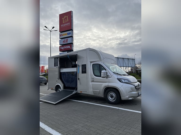 Voiturette Peugeot Boxer 2024, seulement 29 000 km, nouvelle carrosserie – sous garantie