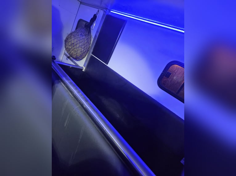 Voiturette pour 2 chevaux - Excellent état