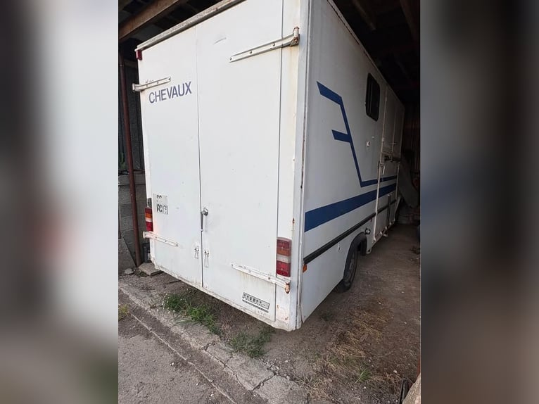 DON van chevaux année 1990 Renault Master