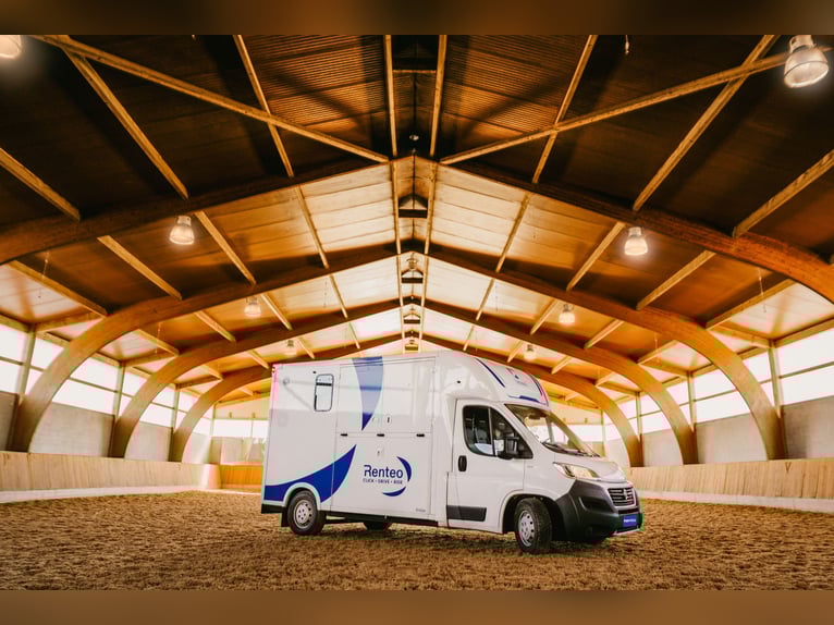 Fourgon pour chevaux FIRSTEO Theault - à louer