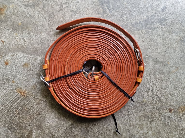 Lignes de conduite, accessoires pour attelage, équipements pour calèche (Schlumpf)