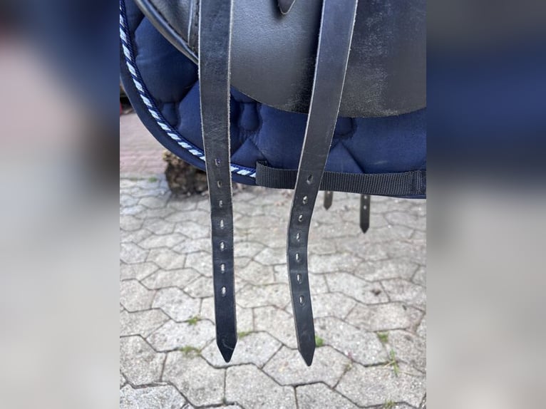 Selle de dressage Passier Pollux 17 pouces