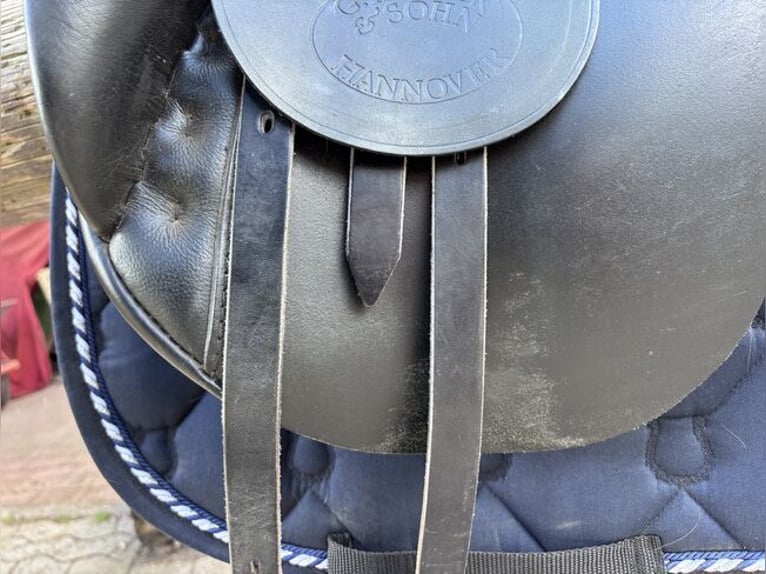 Selle de dressage Passier Pollux 17 pouces