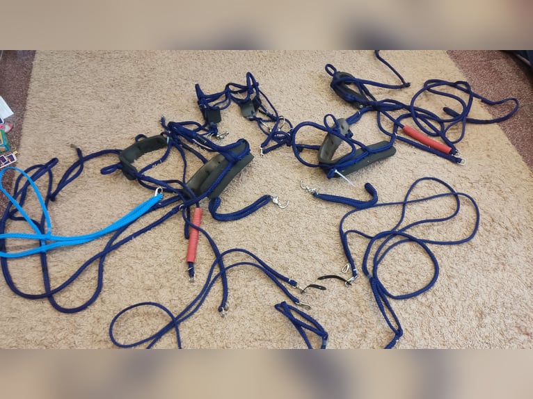  Zweispänner Pony Geschirr von Sieltec 