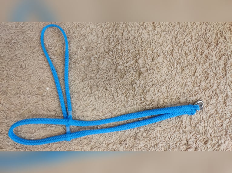  Zweispänner Pony Geschirr von Sieltec 