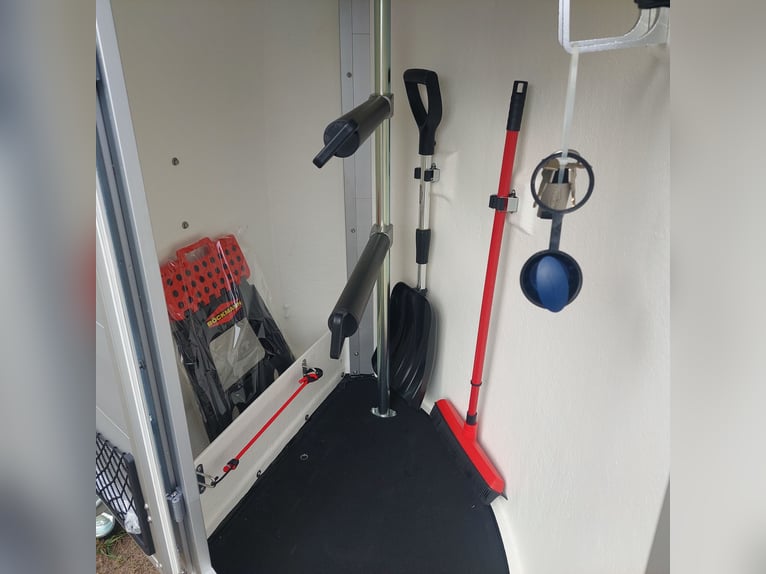 Böckmann Champion R Skylight Pferdeanhänger Aluboden 2,4 t NEU