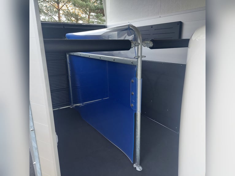 Böckmann Champion R Skylight Pferdeanhänger Aluboden 2,4 t NEU