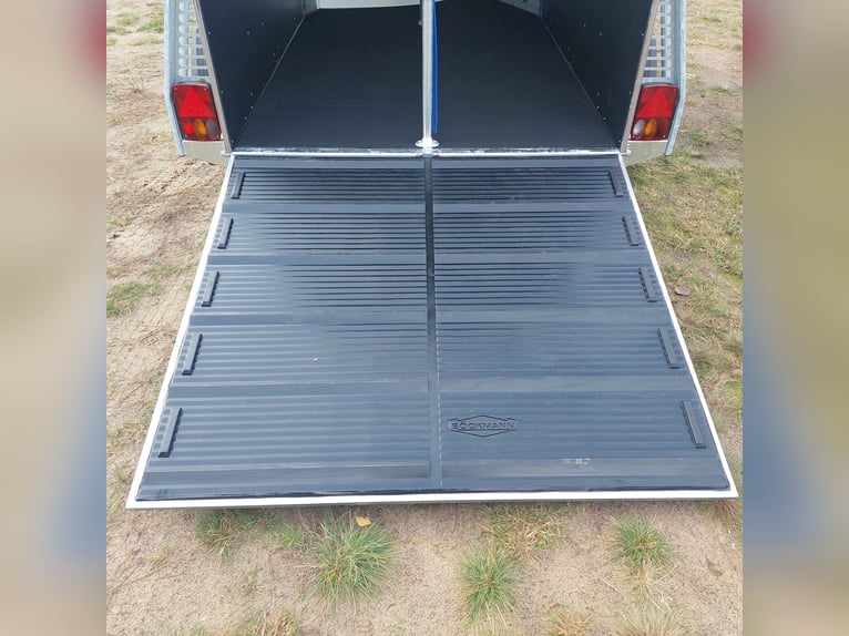 Böckmann Champion R Skylight Pferdeanhänger Aluboden 2,4 t NEU