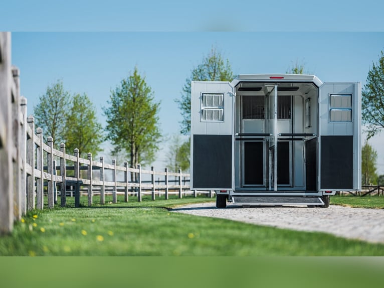 Remorque d'étalon STX 2021