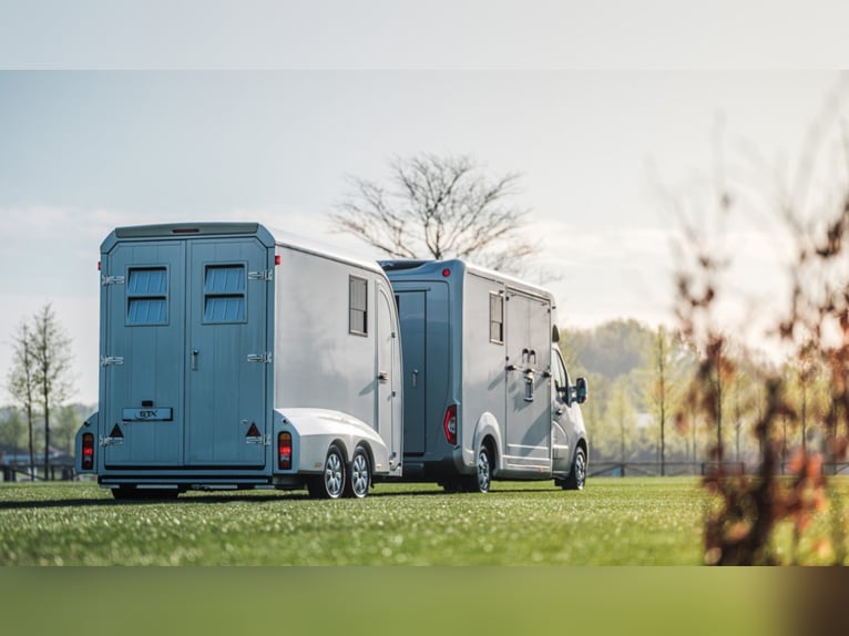 Remorque d'étalon STX 2021