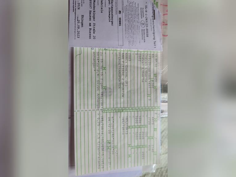 Cheval Liberte sortie avant