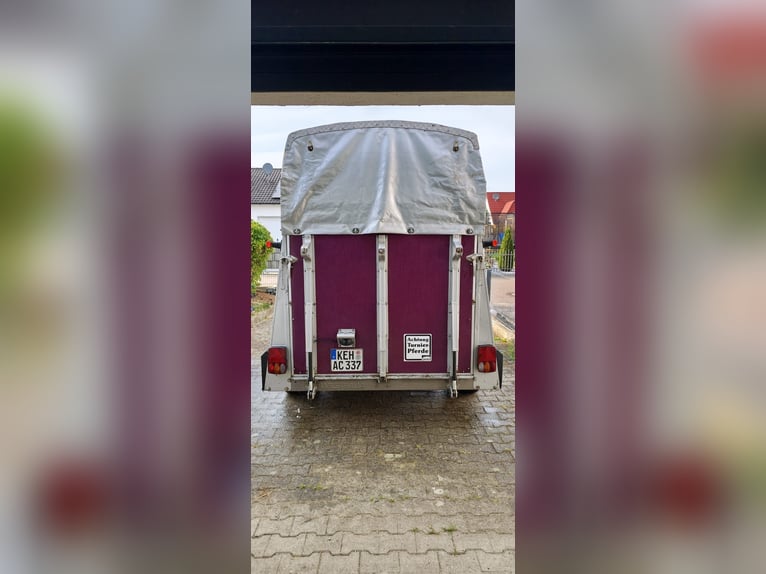 Remorque double Westfalia parfaitement entretenue – entièrement révisée et contrôle technique récent