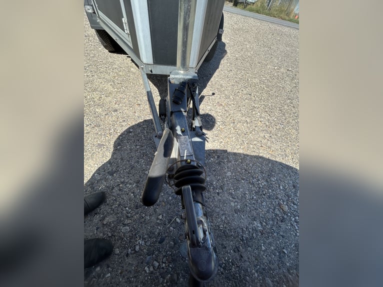 Remorque pour 1,5 chevaux Cheval Liberté – Plancher en aluminium – Contrôle technique valable jusqu'