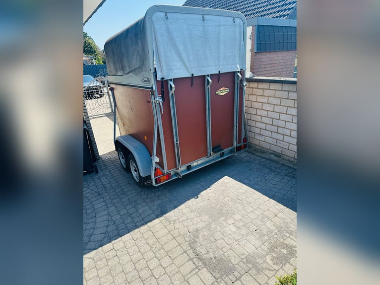 Remorque pour chevaux Böckmann conçue pour le transport de deux chevaux